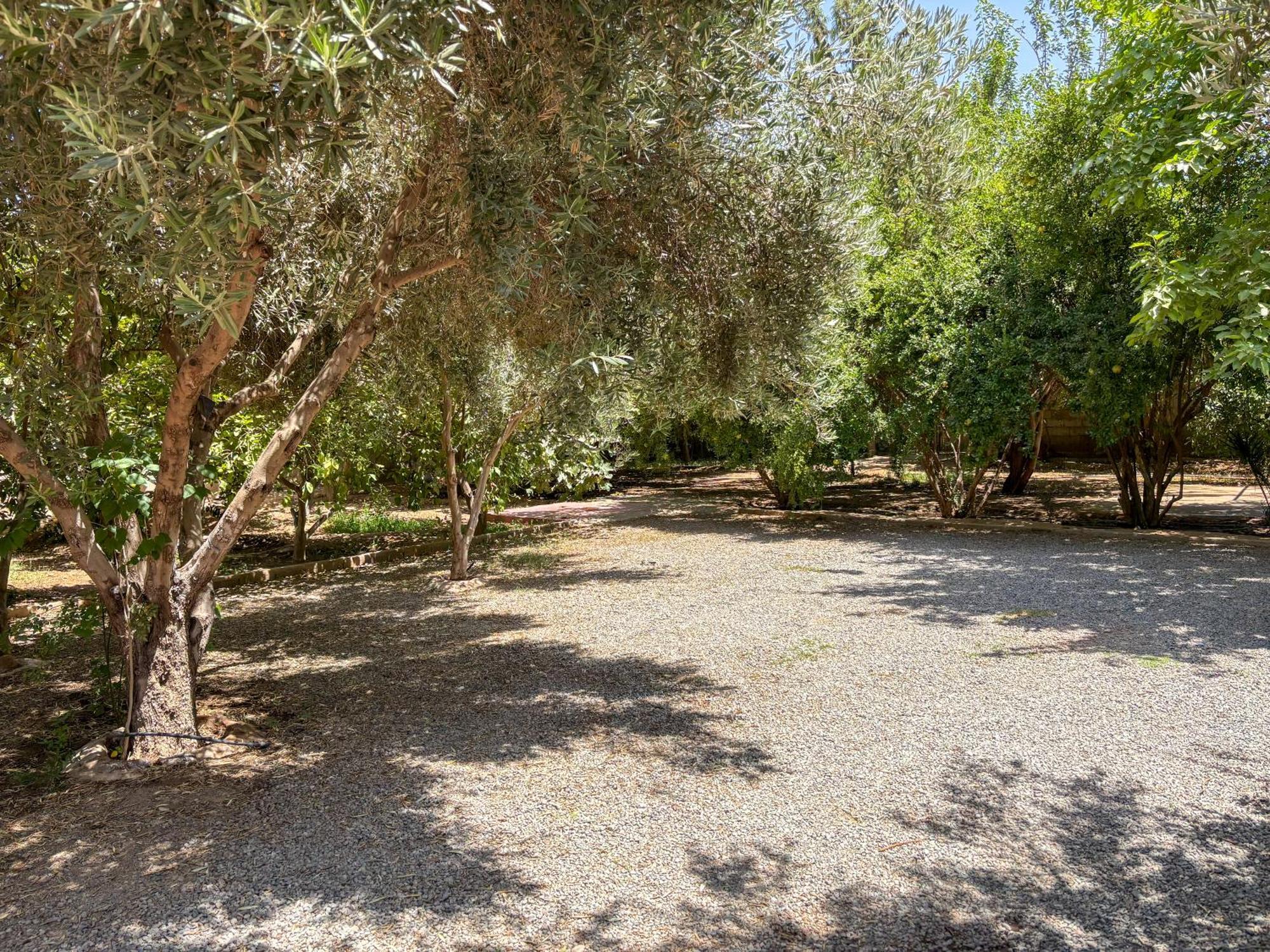 Le Bleu House Bed & Breakfast Sidi Abdallah Ghiat Eksteriør bilde