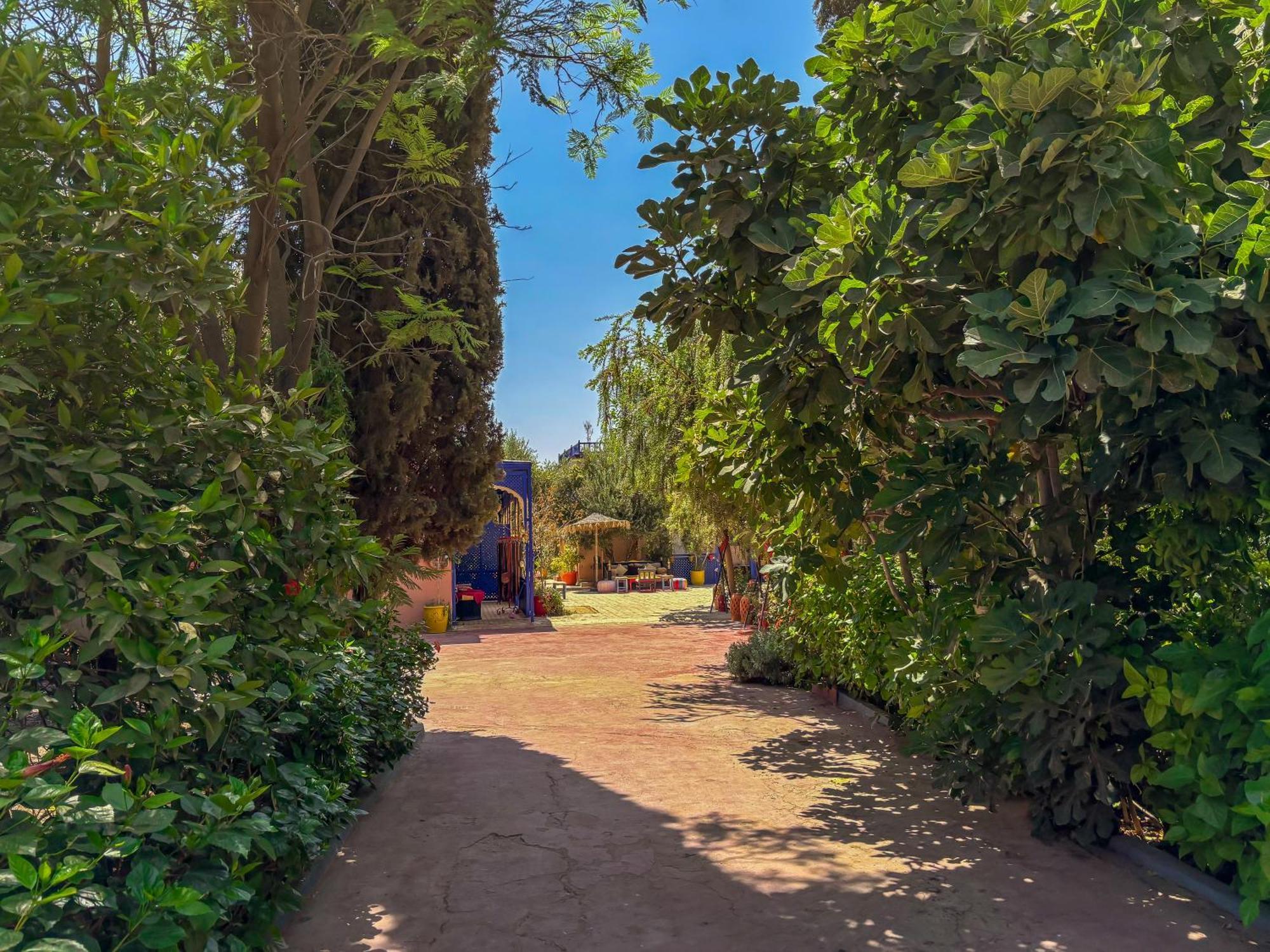 Le Bleu House Bed & Breakfast Sidi Abdallah Ghiat Eksteriør bilde